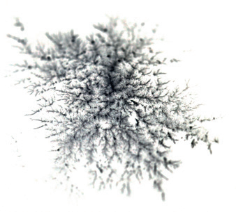 1779854724130139.png WPS图片(1).png